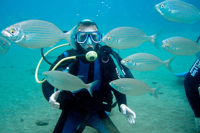 From Dubai: Discovery Scuba Diving Trip in Fujairah - Exploring More of UAE