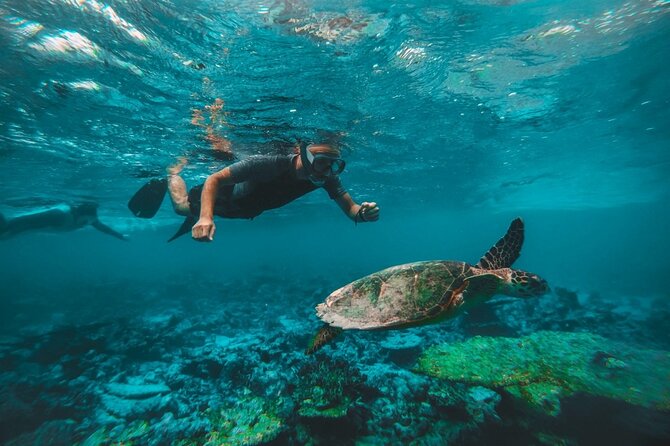 From Dubai: Snorkeling Trip in Fujairah - Additional Information