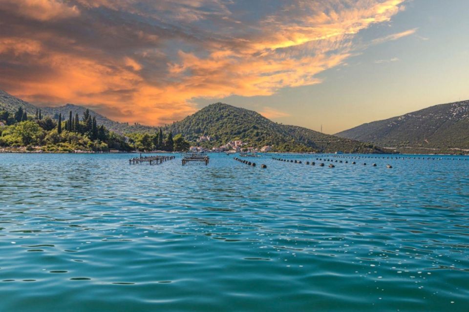 From Dubrovnik Oyster and Wine Tasting Tour in Ston Bay - Additional Details