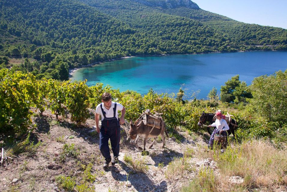 From Dubrovnik: Wine and Gastro Private Tour up to 8 Pax - Itinerary and Booking Information