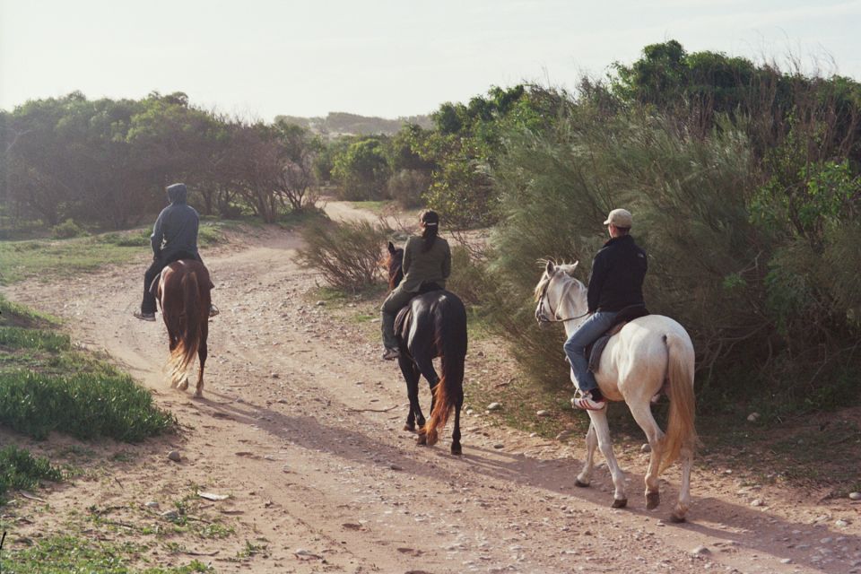 From Essaouira: 1-Hour Horse Ride With Sunset - Additional Highlights