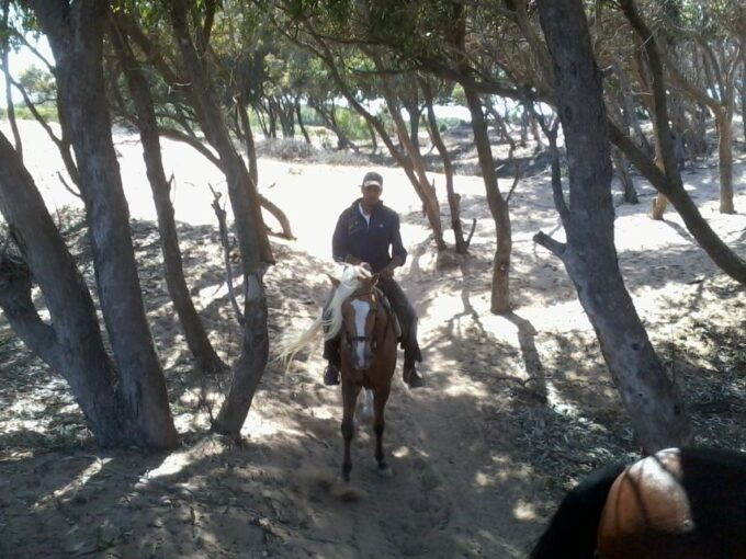 From Essaouira: 1-Hour Horse Ride - Review Summary