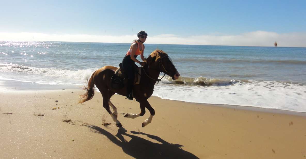 From Essaouira: Horseback Tour With Overnight Berber Camp - Common questions