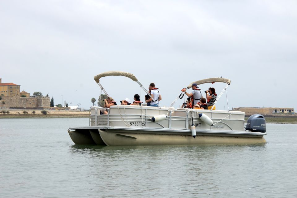 From Faro: 2-Hour Guided Bird Watching Boat Trip - Customer Reviews