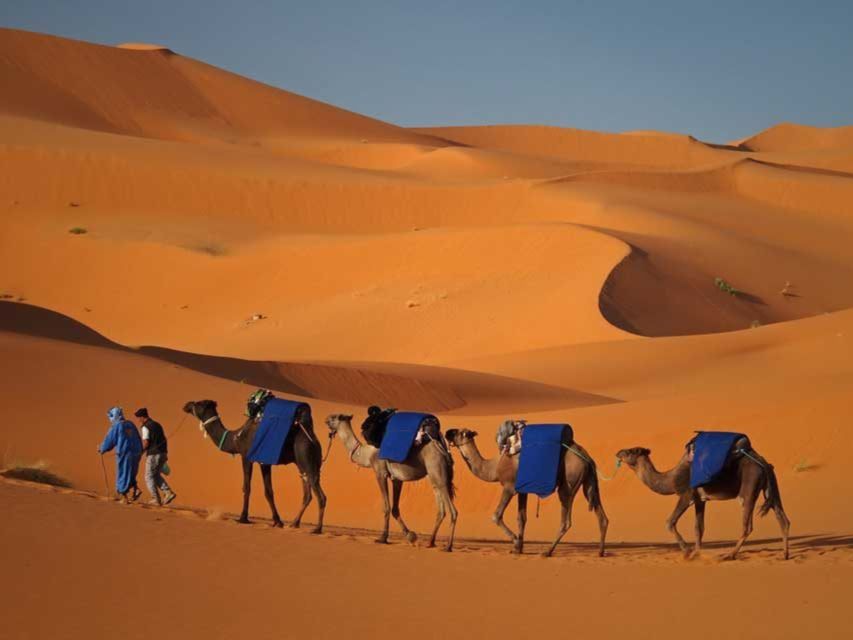 From Fes: 2 Days To Merzouga Desert - Key Highlights