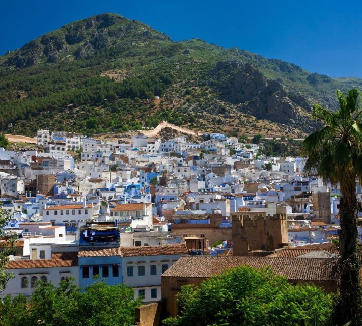 From Fes: Day Trip to The Blue City Chefchaouen - Overall Experience