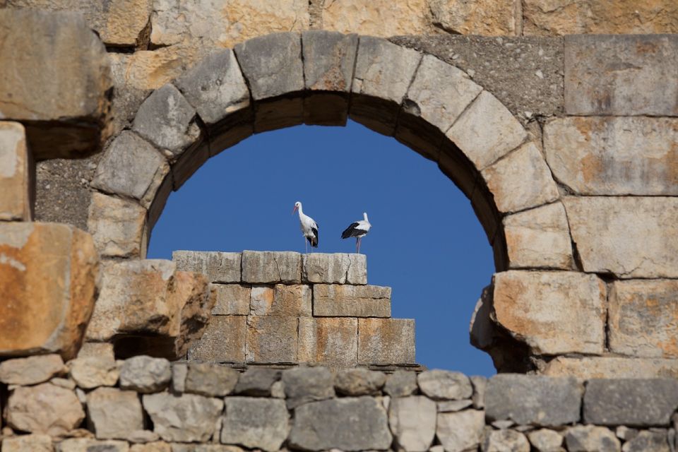 From Fes: Volubilis, Moulay Idriss and Meknes Full-Day Trip - Background Information