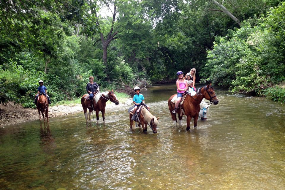 From Fethiye: Horse Riding Adventure - Additional Information