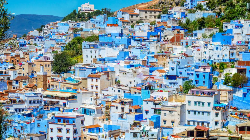 From Fez: Chefchaouen Full-Day Trip - Customer Reviews