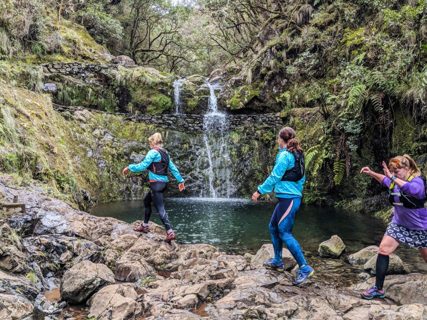 From Funchal: Easy to Moderate Green Levada Running Tour - Live Tour Guide Information