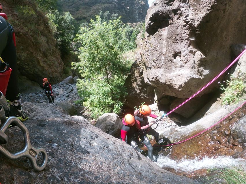 From Funchal: Moderate-Level Guided Canyoning Tour - Booking Policies and Pricing Information