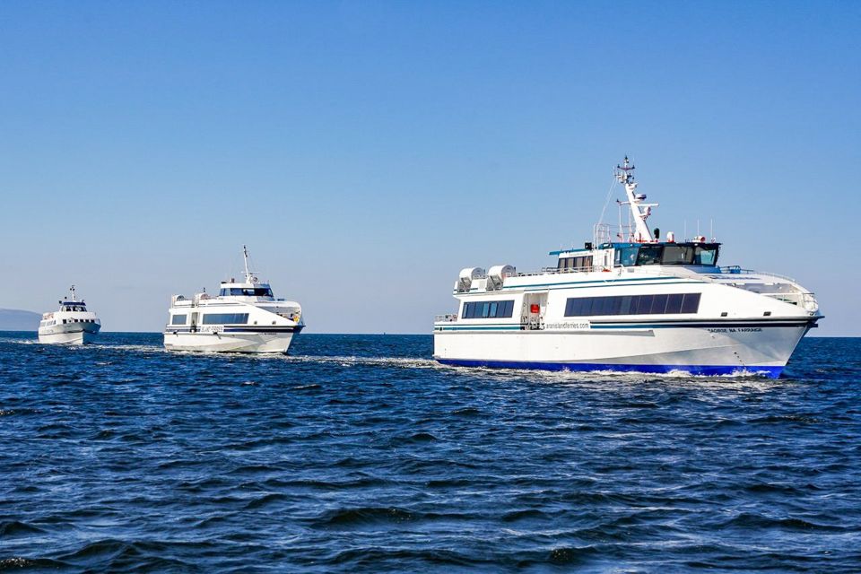 From Galway: Aran Islands & Cliffs of Moher Day Cruise - Customer Reviews