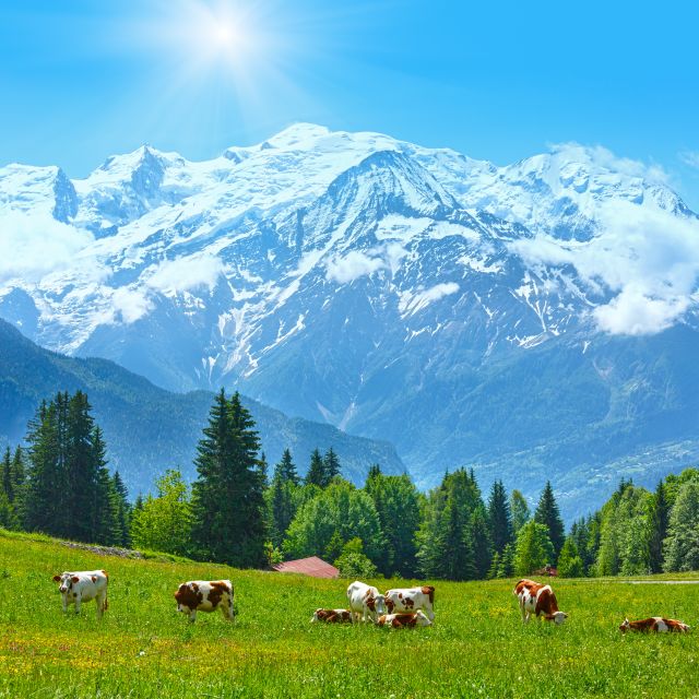 From Geneva: Chamonix Mont-Blanc Private Day Trip - Location & Details