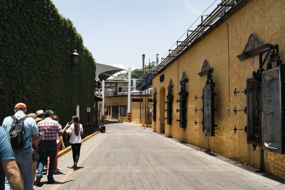 From Guadalajara: Tequila Day Trip With Jose Cuervo Option - Review Summary