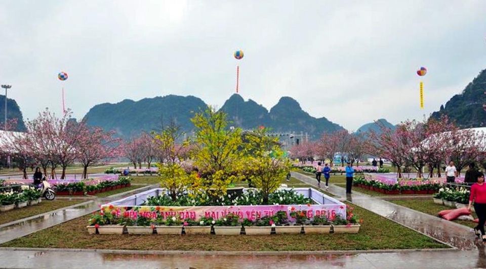 From Ha Noi: Yen Tu Mountain Tour With Cable Car and Lunch - Cancellation and Reservation Policy