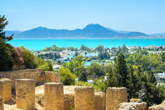 From Hammamet: Carthage, Bardo Museum, Sidi Bou Said and Medina - Transportation Options Between Sites