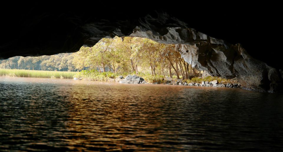 From Hanoi: Full-Day Ninh Binh Highlights Small Group Tour - Transportation and Customer Experience