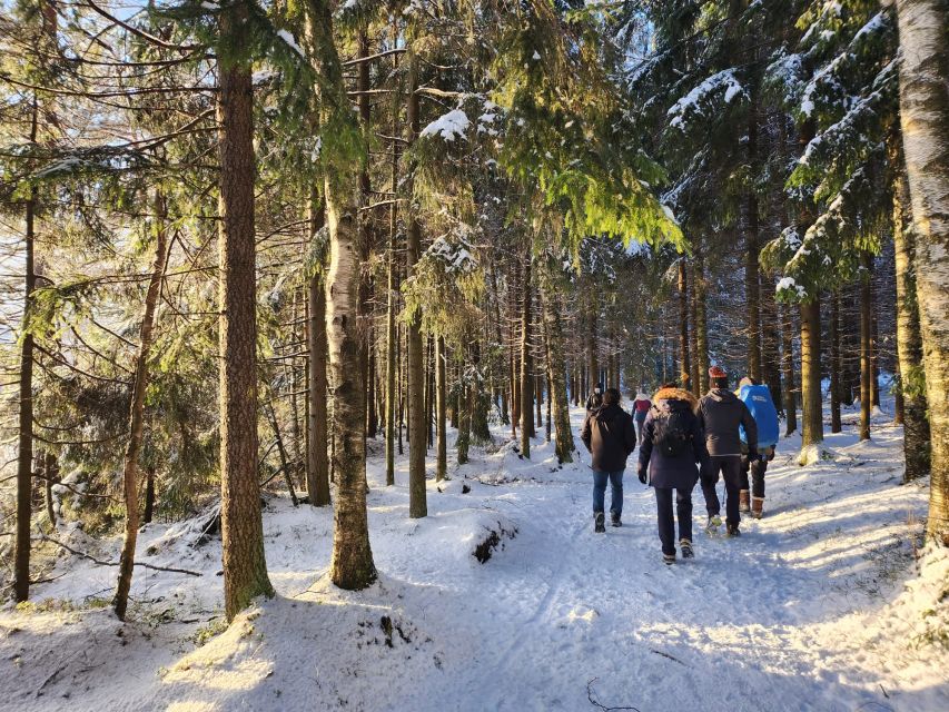 From Helsinki: Hike and Sauna in Sipoonkorpi National Park - Traveler Reviews