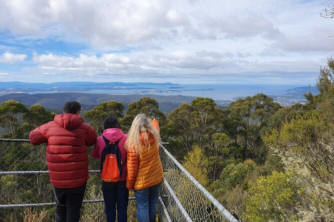 From Hobart: Mt Wellington Afternoon Driving Tour - Tour Experience and Itinerary