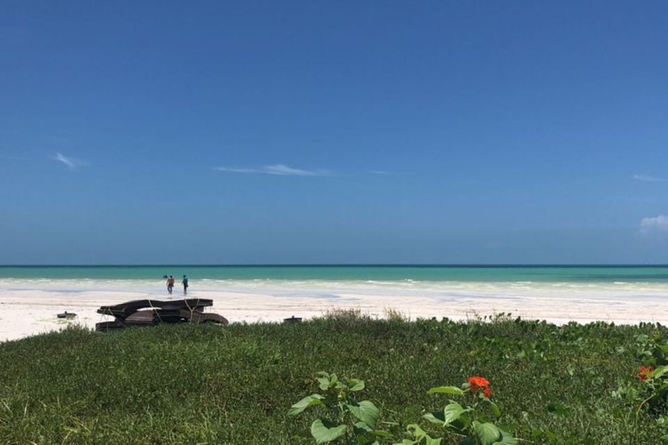 From Holbox: Private Transportation to Cancun - Common questions