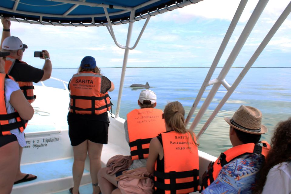 From Holbox: Speedboat Cruise With Lagoon Swim - Full Description