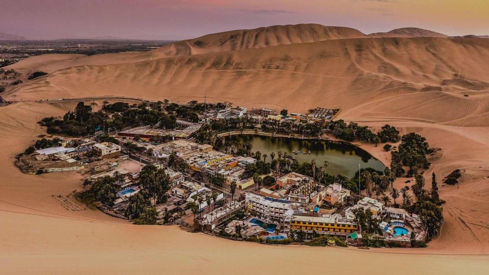 From Huacachina: Sunset Sandboard and Buggy in the Dunes - Feedback and Reviews