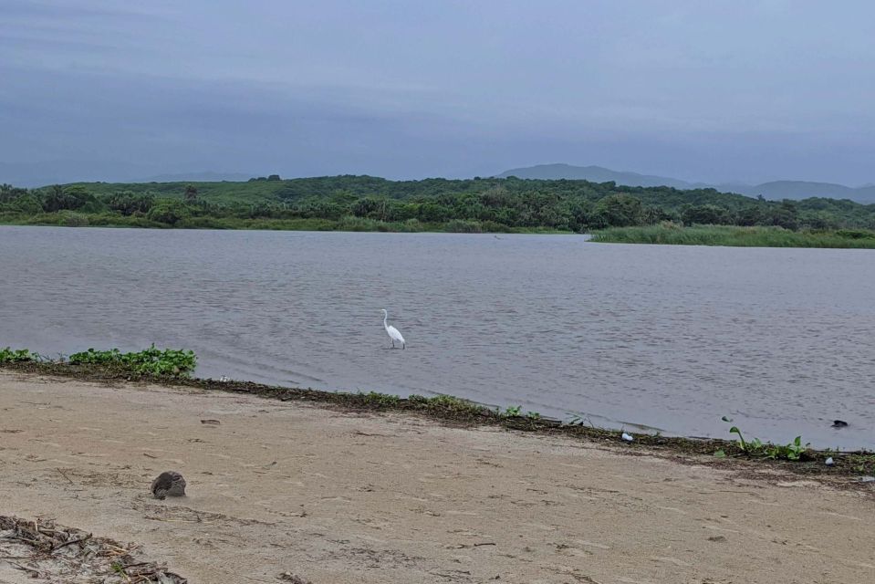 From Huatulco: Beach Horseback Riding Experience - Last Words