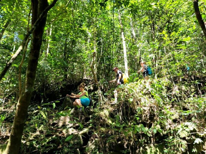 From Hue: Bach Ma National Park Hiking Day Trip With Pickup - Detailed Activity Itinerary