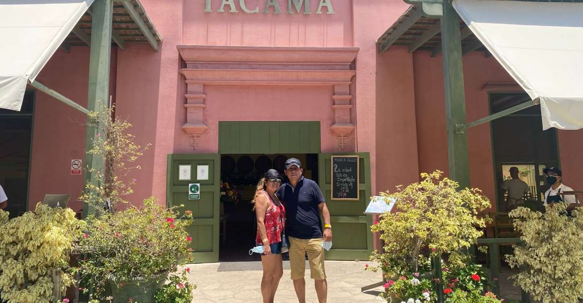 From Ica or Huacachina: Wine and Pisco Vineyards Tour - Tour Description