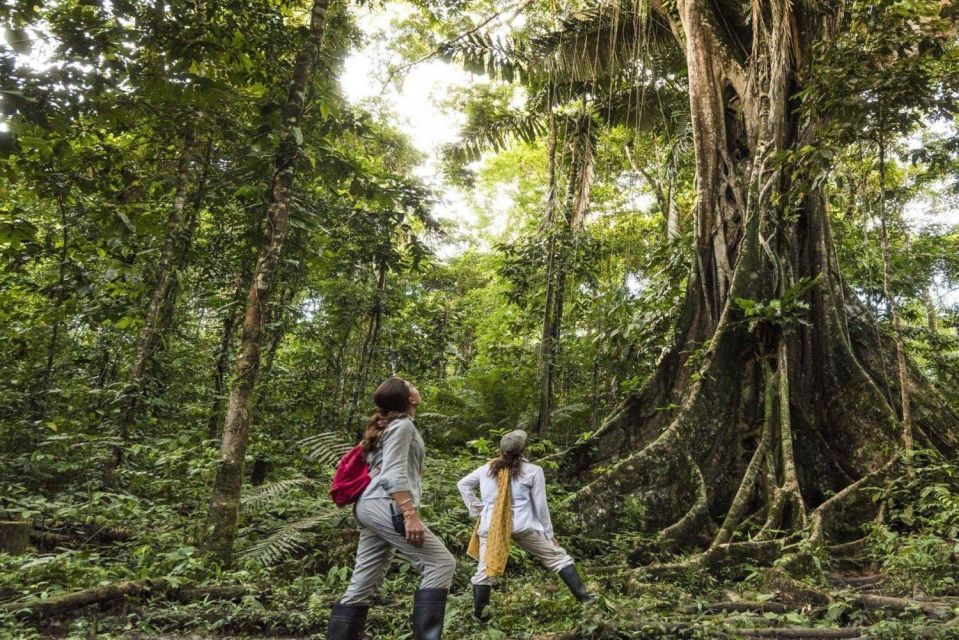 From Iquitos 4-Day Wildlife Expedition in Pacaya Samiria - Highlights of the Expedition