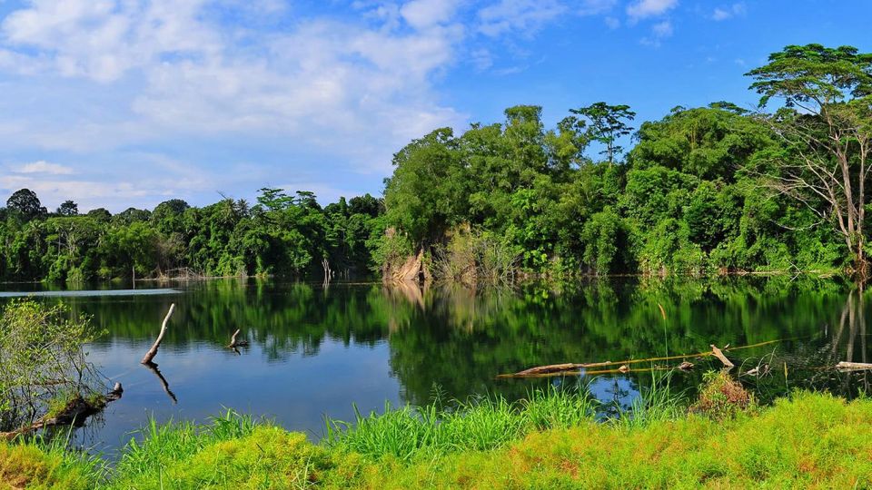 From Iquitos: 4 Days/3 Nights in Amazonian Lodge With Meals - Amazon River Exploration Activities