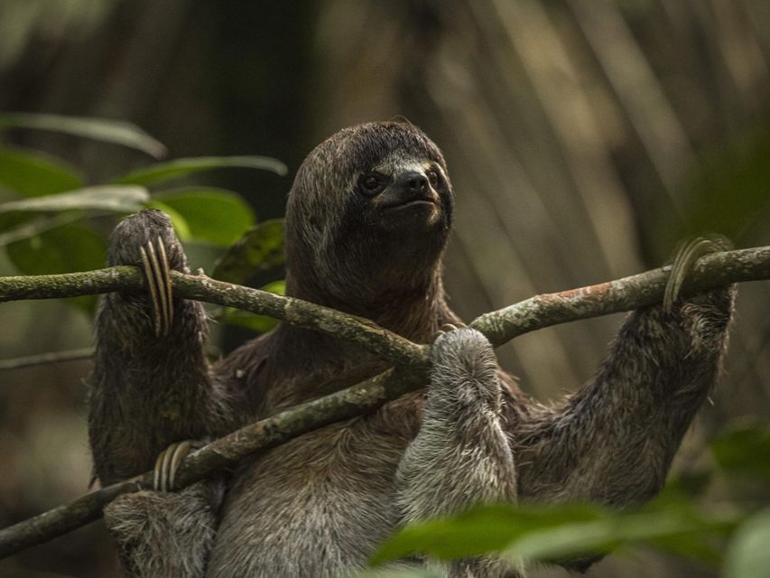 From Iquitos: Amazonas 4 Days 3 Nights - Return and Departure Information