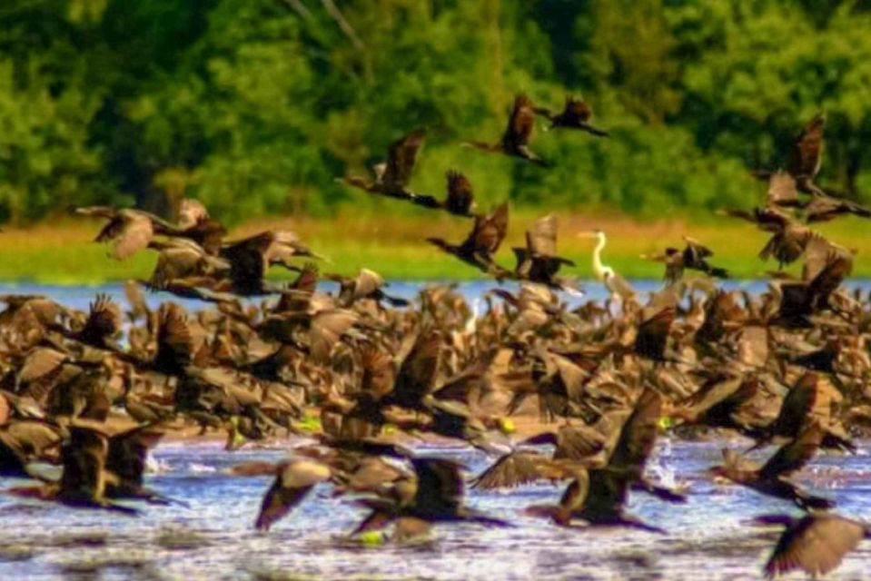 From Iquitos Navigate the Amazon River - Full Day - Additional Information