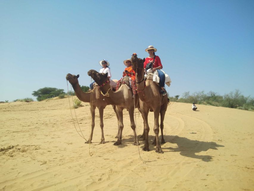 From Jodhpur: Guided Day Trip to Osian With Camel Safari - Directions