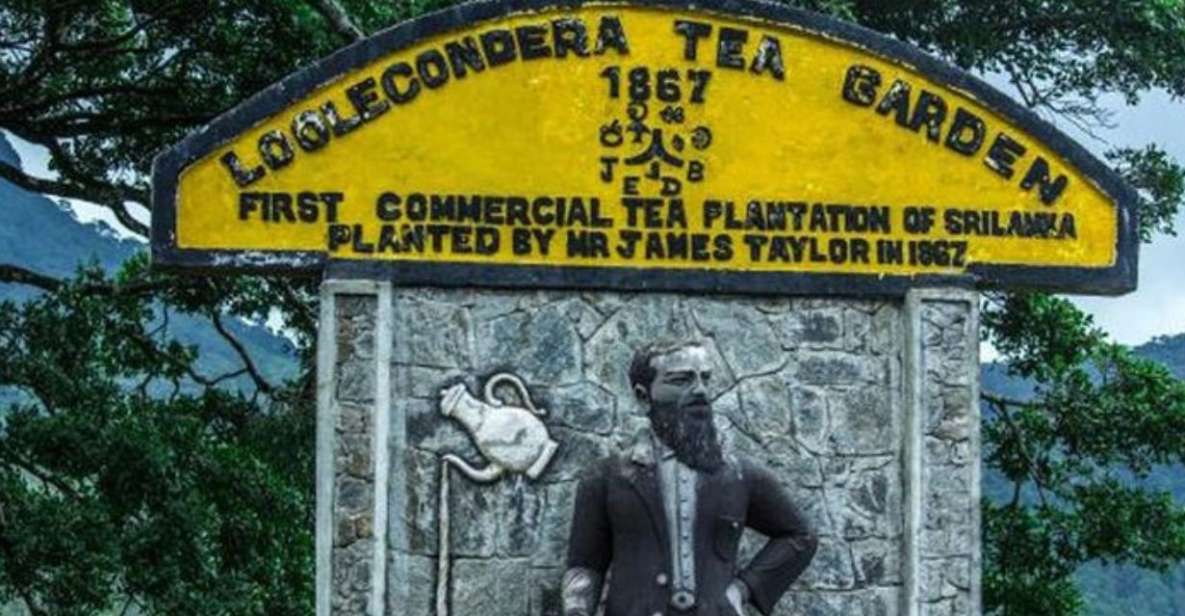 From Kandy: James Taylor's Tea Tour (The Tale of Ceylon Tea) - Tour Highlights