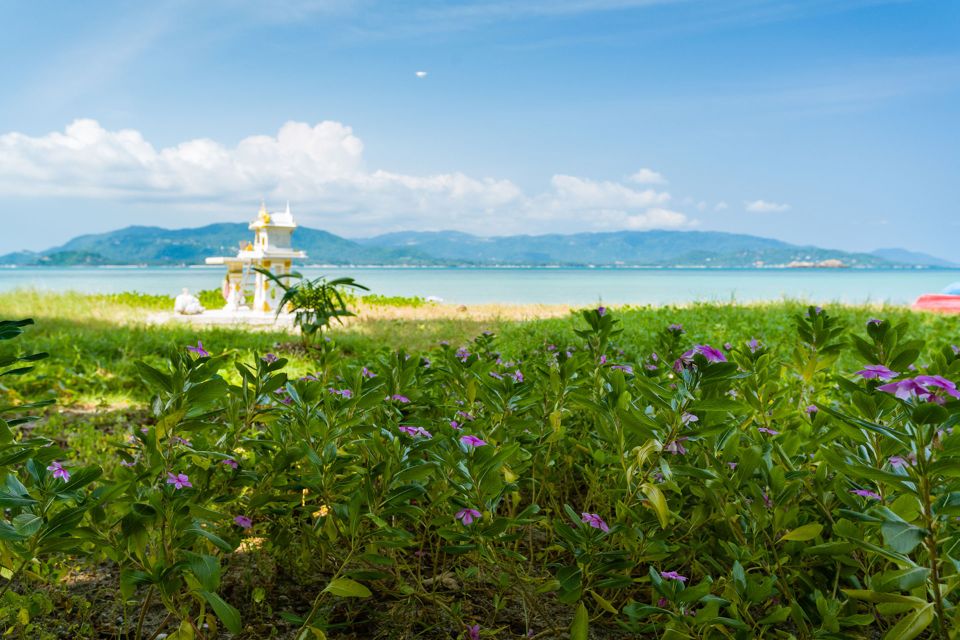 From Koh Samui: Koh Madsum Island Cruise With Lunch Buffet - Booking Information