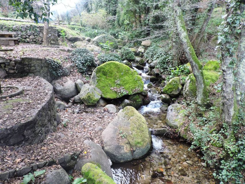 From Lagos: Monchique Guided Forest Walk W/Medronho Tasting - Logistics