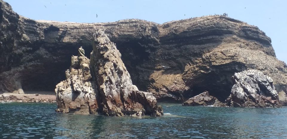 From Lima: Ballestas Island and Paracas Reserve Private Tour - Inclusions in the Tour