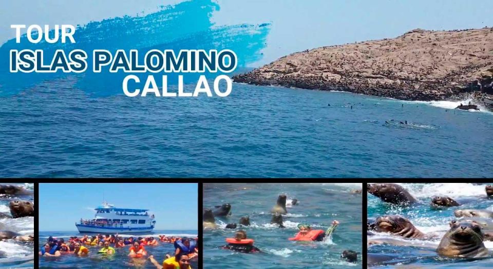From Lima: Palomino Islands - Helpful Tips