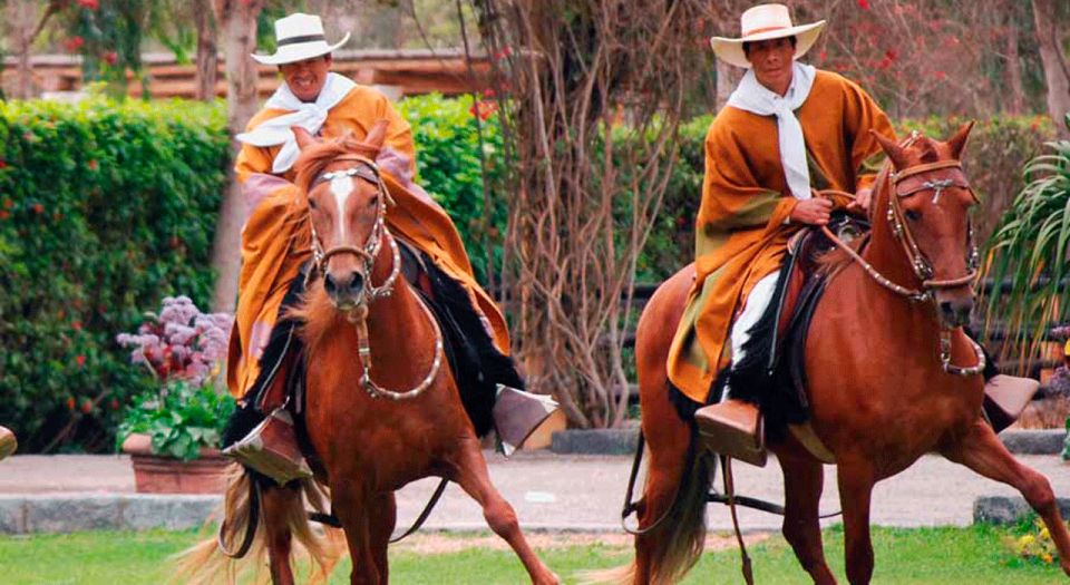 From Lima: Sanctuary of Pachcamac & Paso Horse - Witness the Paso Horse Spectacle