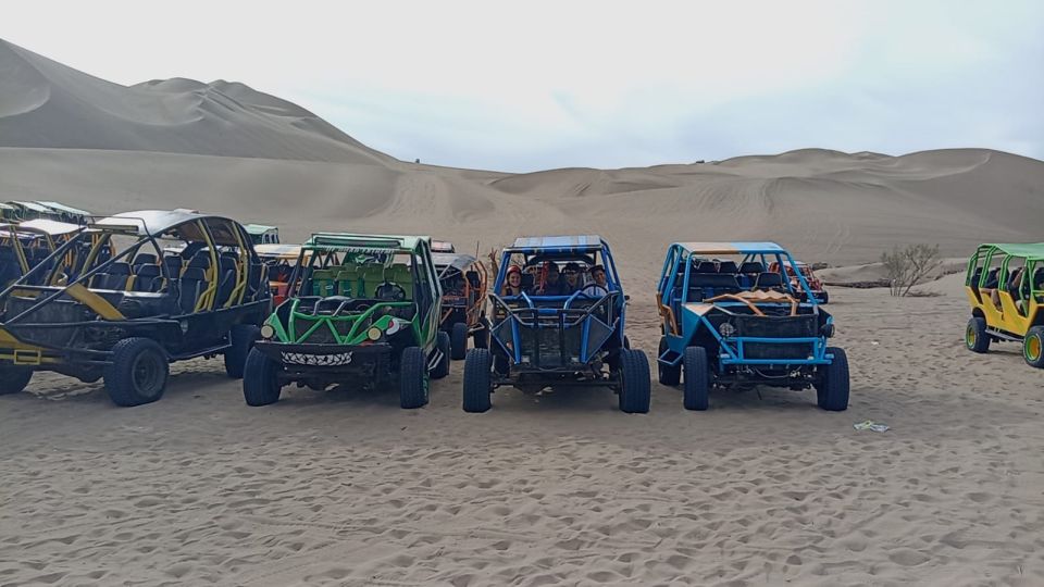 From Lima: Tour to Ballestas Islands, Huacachina Oasis - Transportation and Amenities