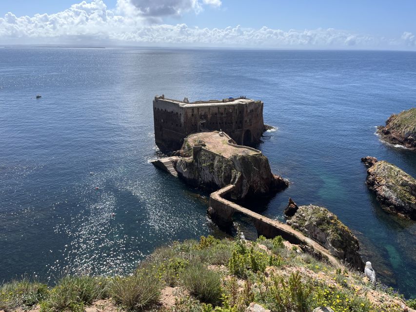 From Lisbon: Berlenga Grande Sightseeing Tour - Meeting Point and Tour Rating