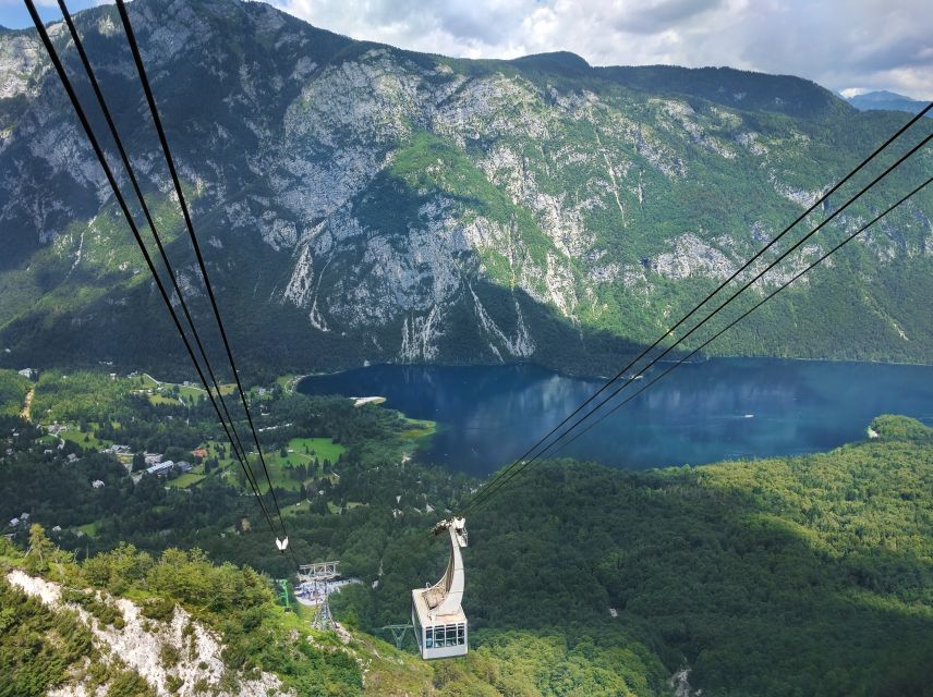 From Ljubljana: Lake Bled and Bohinj Trip - Customer Reviews