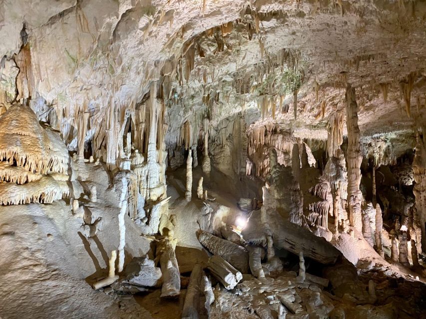 From Ljubljana: Postojna Cave Day Trip - Activity Duration