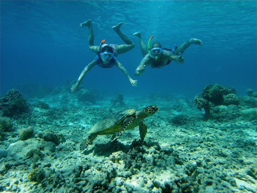 From Lombok: Gili Islands Snorkeling Day Trip - Common questions