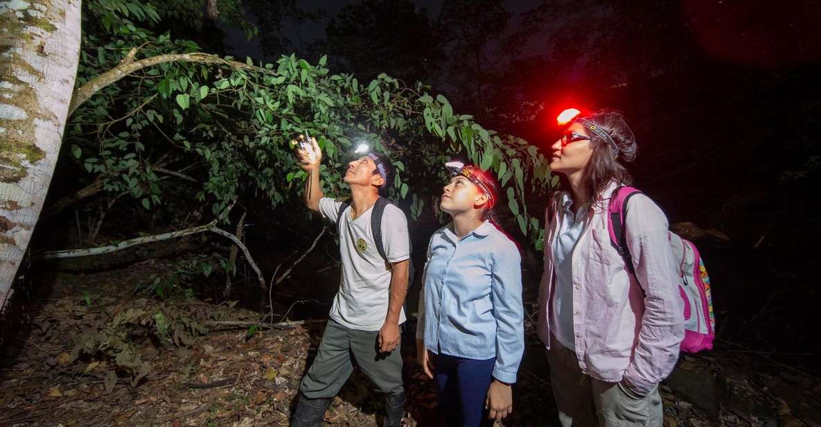 From Madre De Dios Night Trekking in the Amazon Jungle - Common questions