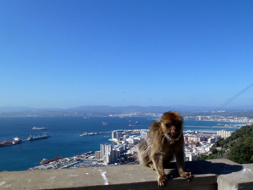 From Malaga: Private Gibraltar Highlights Day Trip - Inclusions