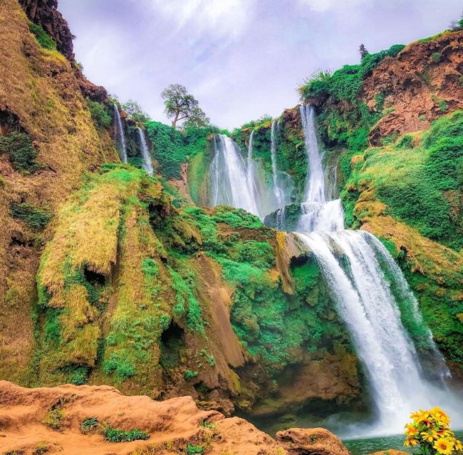 From Marrakech: 1-Day Group Trip to the Ouzoud Waterfalls - Customer Reviews