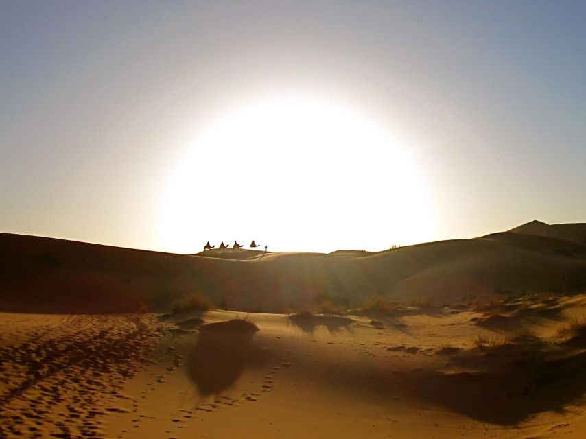 From Marrakech: 2-Day Zagora Desert Trip - Traveler Feedback and Recommendations