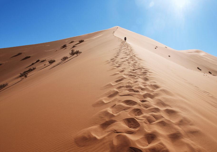 From Marrakech: 3-Day Sahara Desert Tour - Day 2 Itinerary